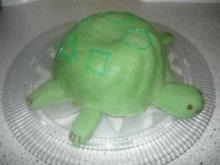 Schildkröten-Kuchen - Rezept