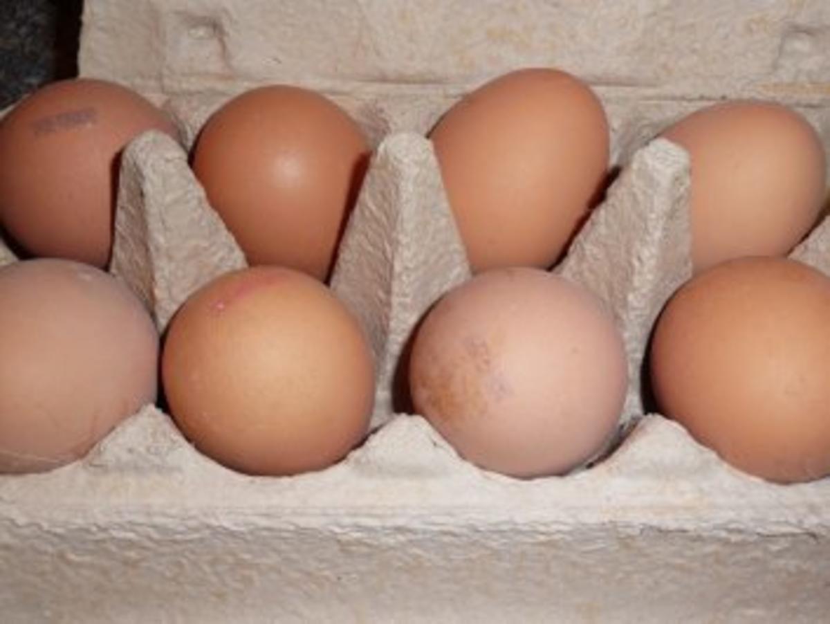 Eier in Senfsoße im Kartoffelnest - Rezept - Bild Nr. 2