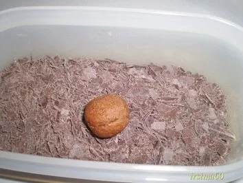  Mokkatrüffel - Rezept - Bild Nr. 4