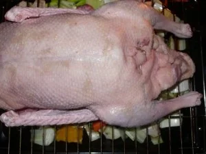 Pizzakatzes verspätete Martinsgans - Rezept - Bild Nr. 4