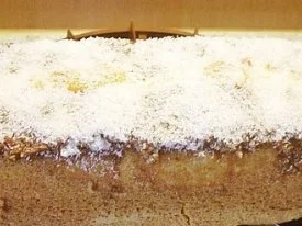 Bounty-Kuchen - Rezept