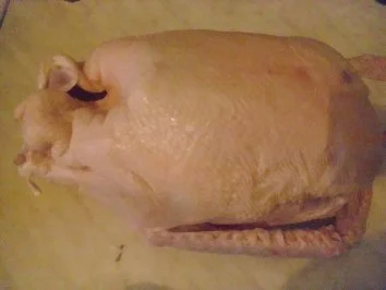 Martinsgans verspätet erst am 15.11. - Rezept - Bild Nr. 2