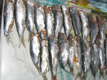 Rezept: Gefüllte Sardellen Bild Nr. 3 Gefüllte Sardellen - Rezept - Bild Nr. 3