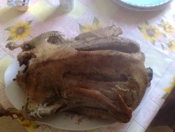 Flugentenbraten - Rezept - Bild Nr. 2