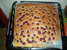 Kuchen: Quark-Kirsch-Kuchen - Rezept