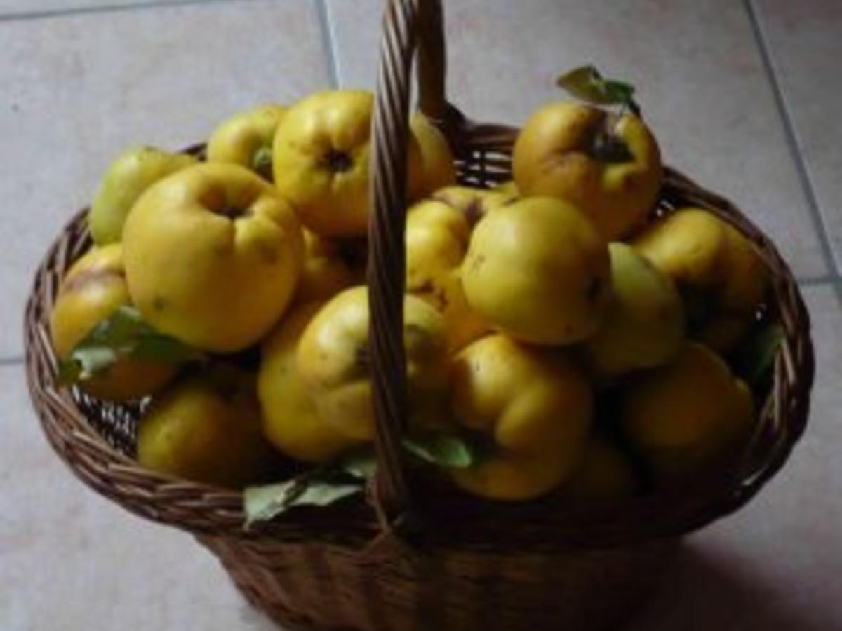 Quitten Rezepte