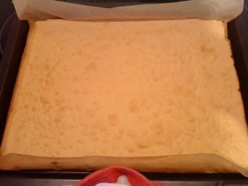 Rezept: Cappuccino - Aprikosen - Schnitten Bild Nr. 4 Cappuccino - Aprikosen - Schnitten - Rezept - Bild Nr. 4