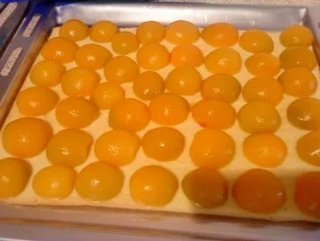 Rezept: Cappuccino - Aprikosen - Schnitten Bild Nr. 5 Cappuccino - Aprikosen - Schnitten - Rezept - Bild Nr. 5