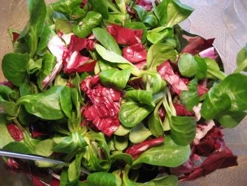 Rapunzel-Radicchio - Salat ... - Rezept - Bild Nr. 3