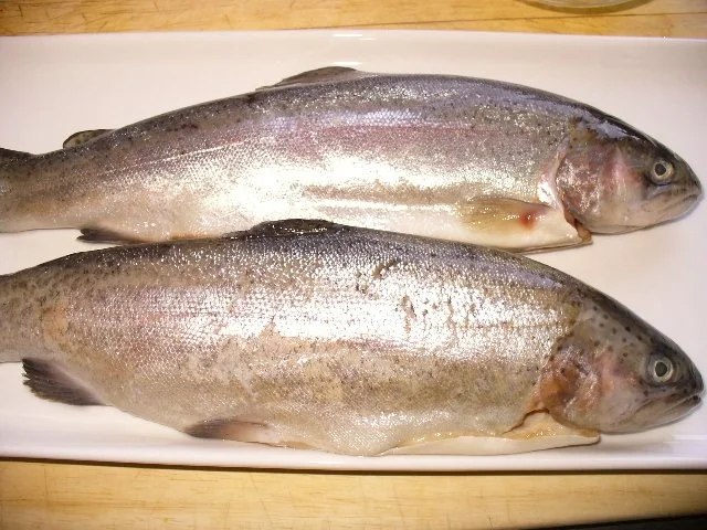 Forelle blau - Rezept - Bild Nr. 4