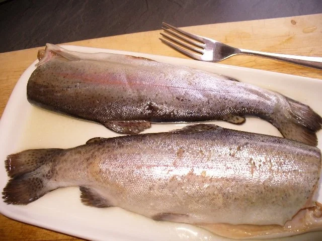 Forelle blau - Rezept - Bild Nr. 5