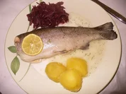 Forelle blau - Rezept