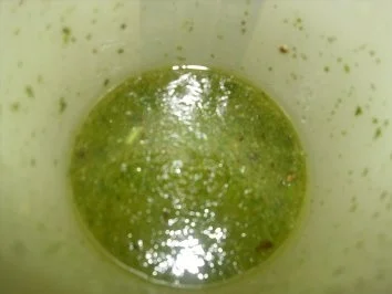 Rezept: Gourmet-Bohnensalat Bild Nr. 2 Gourmet-Bohnensalat - Rezept - Bild Nr. 2