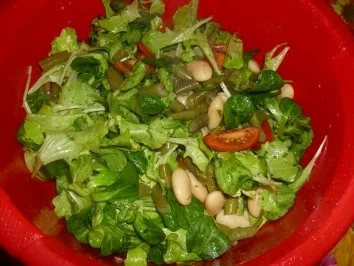 Rezept: Gourmet-Bohnensalat Bild Nr. 8 Gourmet-Bohnensalat - Rezept - Bild Nr. 8