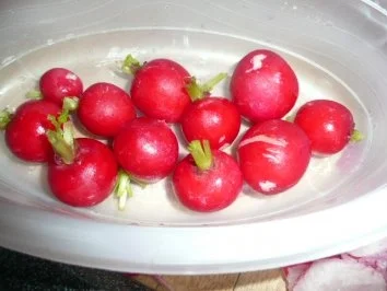 Rezept: TAPAS /RADIESCHENSÜLZE MIT SERANOSCHINKEN Bild Nr. 3 TAPAS /RADIESCHENSÜLZE MIT SERANOSCHINKEN - Rezept - Bild Nr. 3