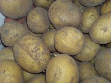 Rezept: Selbst gemachtes Kartoffelpüree mit Reste Bild Nr. 4 Selbst gemachtes Kartoffelpüree mit Reste - Rezept - Bild Nr. 4