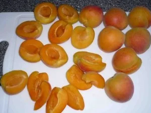 Quarkinseln im Aprikosenmeer - Rezept - Bild Nr. 11