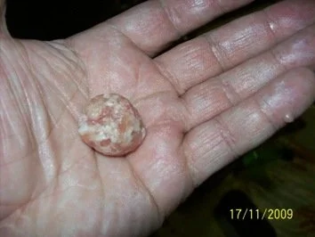 Rezept: Hühnerpastetchen Bild Nr. 7 Hühnerpastetchen - Rezept - Bild Nr. 7