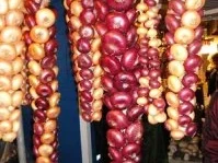 Rezept: Bärner Zibelechueche Bild Nr. 5 Bärner Zibelechueche - Rezept - Bild Nr. 5