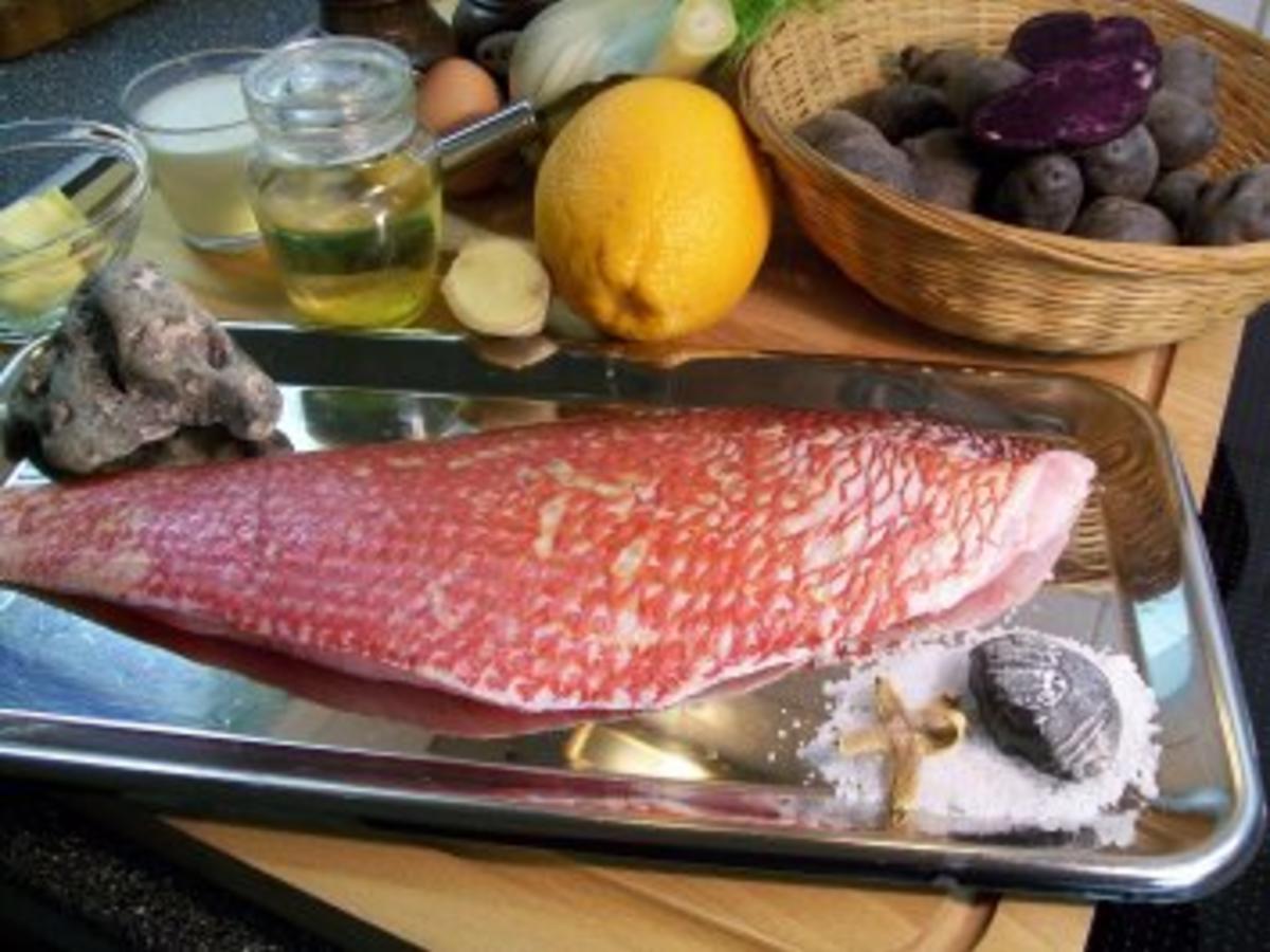 Red Snapper auf karamellisiertem Fenchel an Orangen-Ingwer-Schaum ...