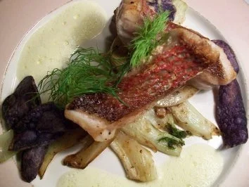 Rezept: Red Snapper auf karamellisiertem Fenchel an Orangen-Ingwer-Schaum... Bild Nr. 7 Red Snapper auf karamellisiertem Fenchel an Orangen-Ingwer-Schaum... - Rezept - Bild Nr. 7