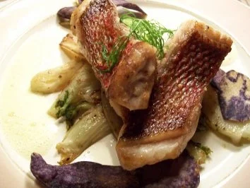 Rezept: Red Snapper auf karamellisiertem Fenchel an Orangen-Ingwer-Schaum... Bild Nr. 2 Red Snapper auf karamellisiertem Fenchel an Orangen-Ingwer-Schaum... - Rezept - Bild Nr. 2