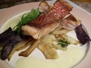 Red Snapper auf karamellisiertem Fenchel an Orangen-Ingwer-Schaum... - Rezept