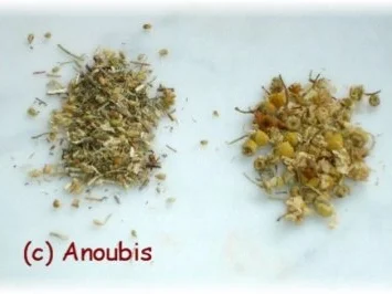 Heiltee - Teemischung bei entzündeter Magenschleimhaut - Rezept