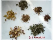 Heiltee - Teemischung bei Magenproblemen nach Glutamatgenuss - Rezept