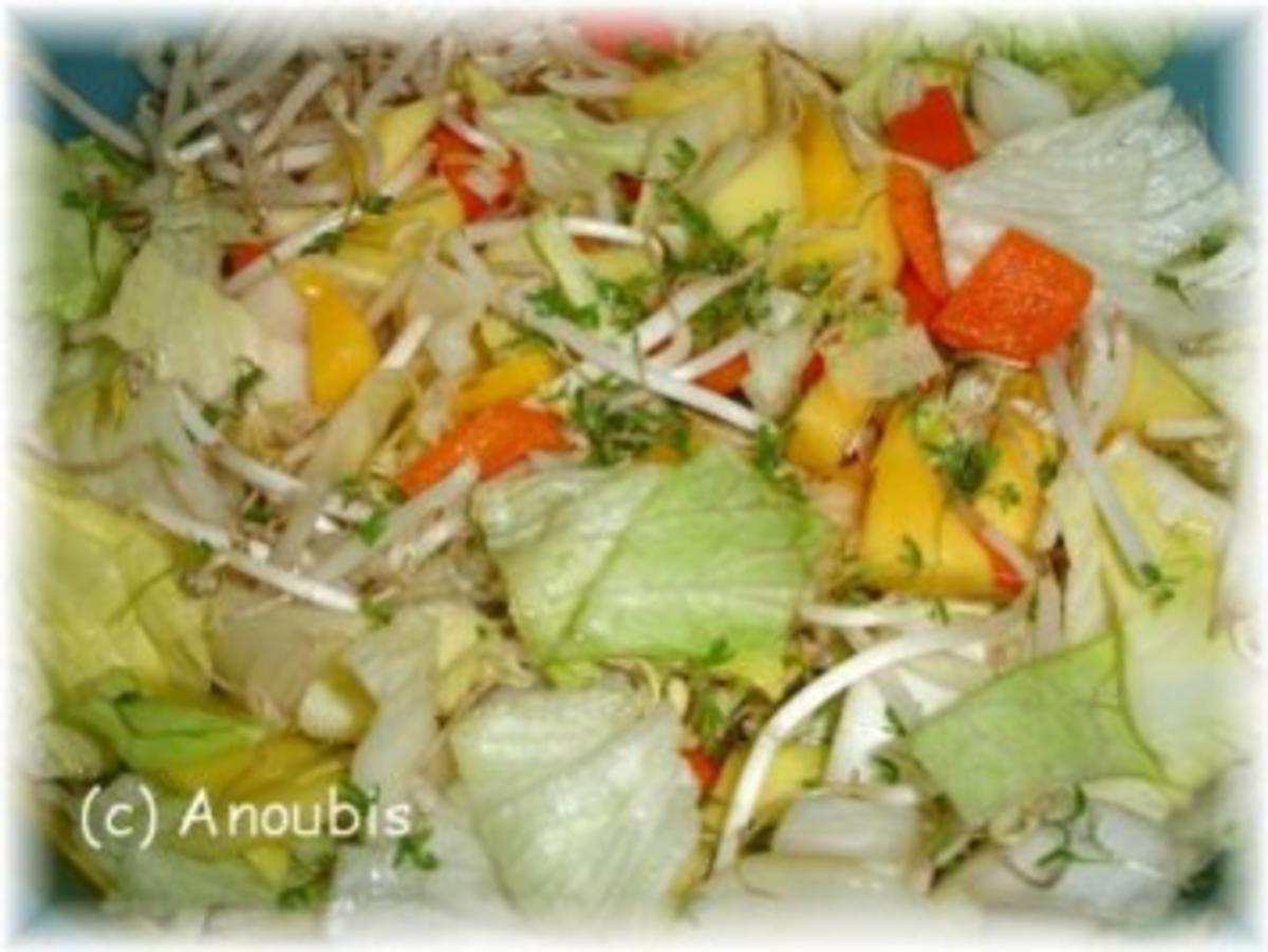Salat - Mango-Sprossen-Salat - Rezept