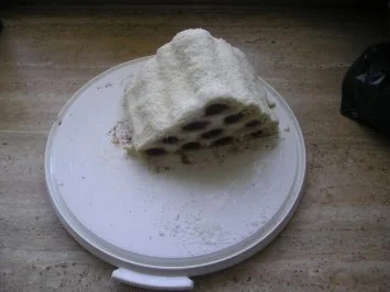 Rezept: Eisberg Bild Nr. 3 Eisberg - Rezept - Bild Nr. 3