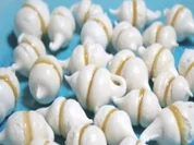 KLEINGEBÄCK - Baiser-Karamell-Tröpfchen - Rezept