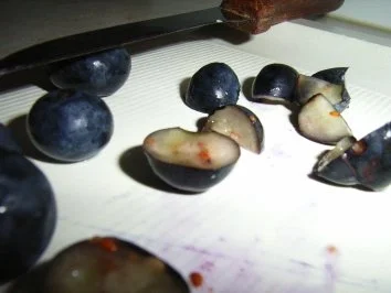 Rezept: Creme di Ocean Bild Nr. 3 Creme di Ocean - Rezept - Bild Nr. 3