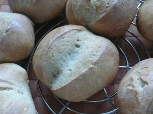 Rezept: Pizzakatzes knusprig,knackige Brötchen Bild Nr. 2 Pizzakatzes knusprig,knackige Brötchen - Rezept - Bild Nr. 2