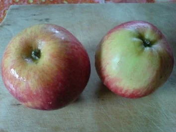 Rezept: Hähnchen-Curry mit Apfel Bild Nr. 14 Hähnchen-Curry mit Apfel - Rezept - Bild Nr. 14