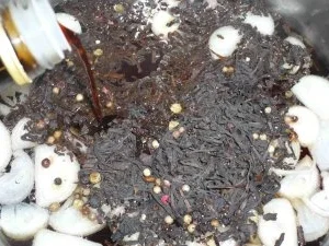 Chinesische Soleier - Rezept - Bild Nr. 5