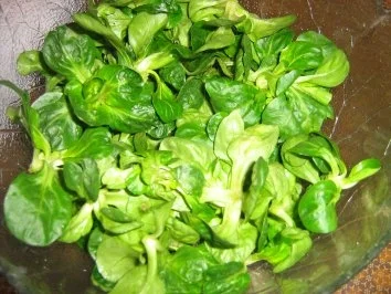 Rezept: Feldsalat mit Fencheldressing Bild Nr. 2 Feldsalat mit Fencheldressing - Rezept - Bild Nr. 2