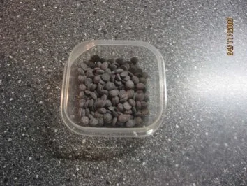 Süße Hefe-Schnecken mit Schoko Tropfen - Rezept - Bild Nr. 4