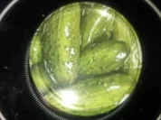 Rezept: Fenchelgurken Fenchelgurken - Rezept