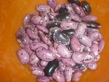 Rezept: Bohnakern mit Rauchfleisch Bild Nr. 2 Bohnakern mit Rauchfleisch - Rezept - Bild Nr. 2