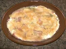 Chicorée - Gratin - Rezept