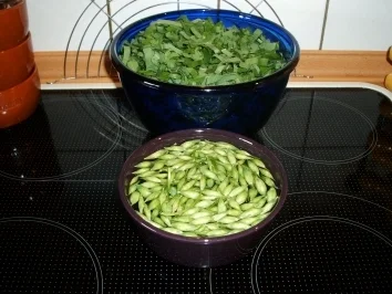 Bärlauchpesto - Rezept