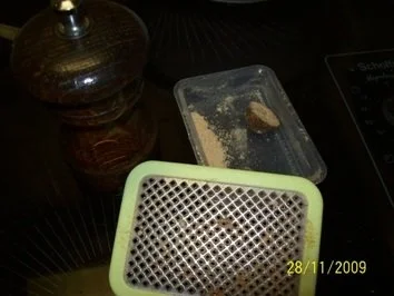 geschmortem Wirsing mit Speckwürfeln - Rezept - Bild Nr. 5