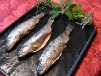 Forelle aus dem Ofen mit Schwenkkartoffeln - Rezept - Bild Nr. 2