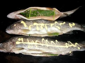 Forelle aus dem Ofen mit Schwenkkartoffeln - Rezept - Bild Nr. 3