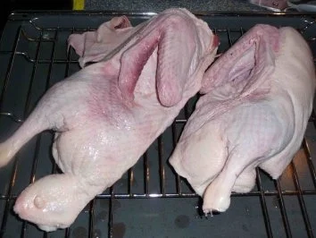 Rezept: Ente Bild Nr. 2 Ente - Rezept - Bild Nr. 2