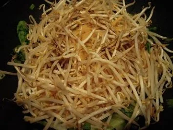 Pak Choi Gemüse mit Putenstreifen, Soja- und Bambussprossen - Rezept - Bild Nr. 8