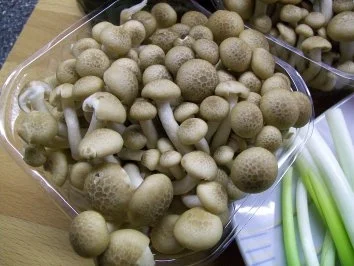 Rezept: gebratene Shimeji zu Schweinefilet mit Senfsahne Bild Nr. 3 gebratene Shimeji zu Schweinefilet mit Senfsahne - Rezept - Bild Nr. 3