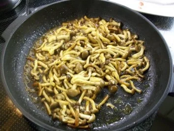 Rezept: gebratene Shimeji zu Schweinefilet mit Senfsahne Bild Nr. 4 gebratene Shimeji zu Schweinefilet mit Senfsahne - Rezept - Bild Nr. 4