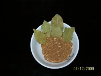 Rezept: Spaghetti- (Pasta's ) Sauce Provencal ( würzig) Bild Nr. 4 Spaghetti- (Pasta's ) Sauce Provencal ( würzig) - Rezept - Bild Nr. 4